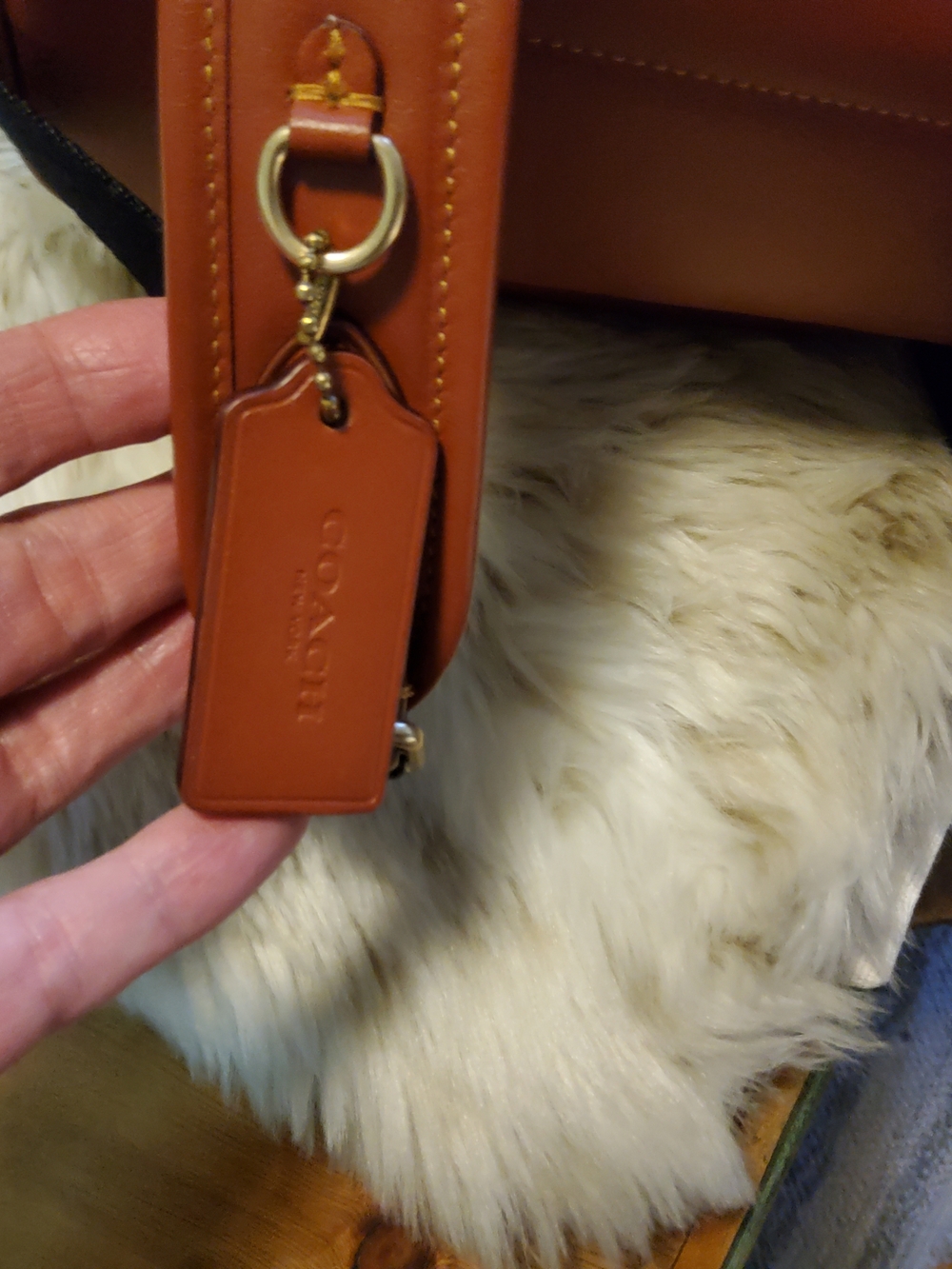 Coach Charter Backpack C8847 Beyond EUC - Picture 8 of 16